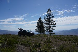 Above Verdi