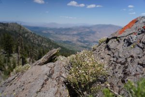 Verdi Peak, View looking Notheast