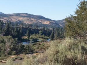 Eastern side of Henness Pass Road